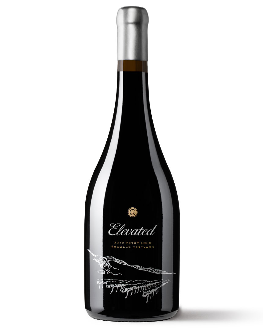 Product Image for Elevated 2022